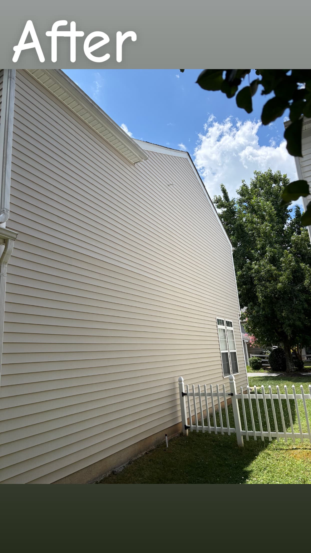 Vinyl Siding (Side Wall) — after