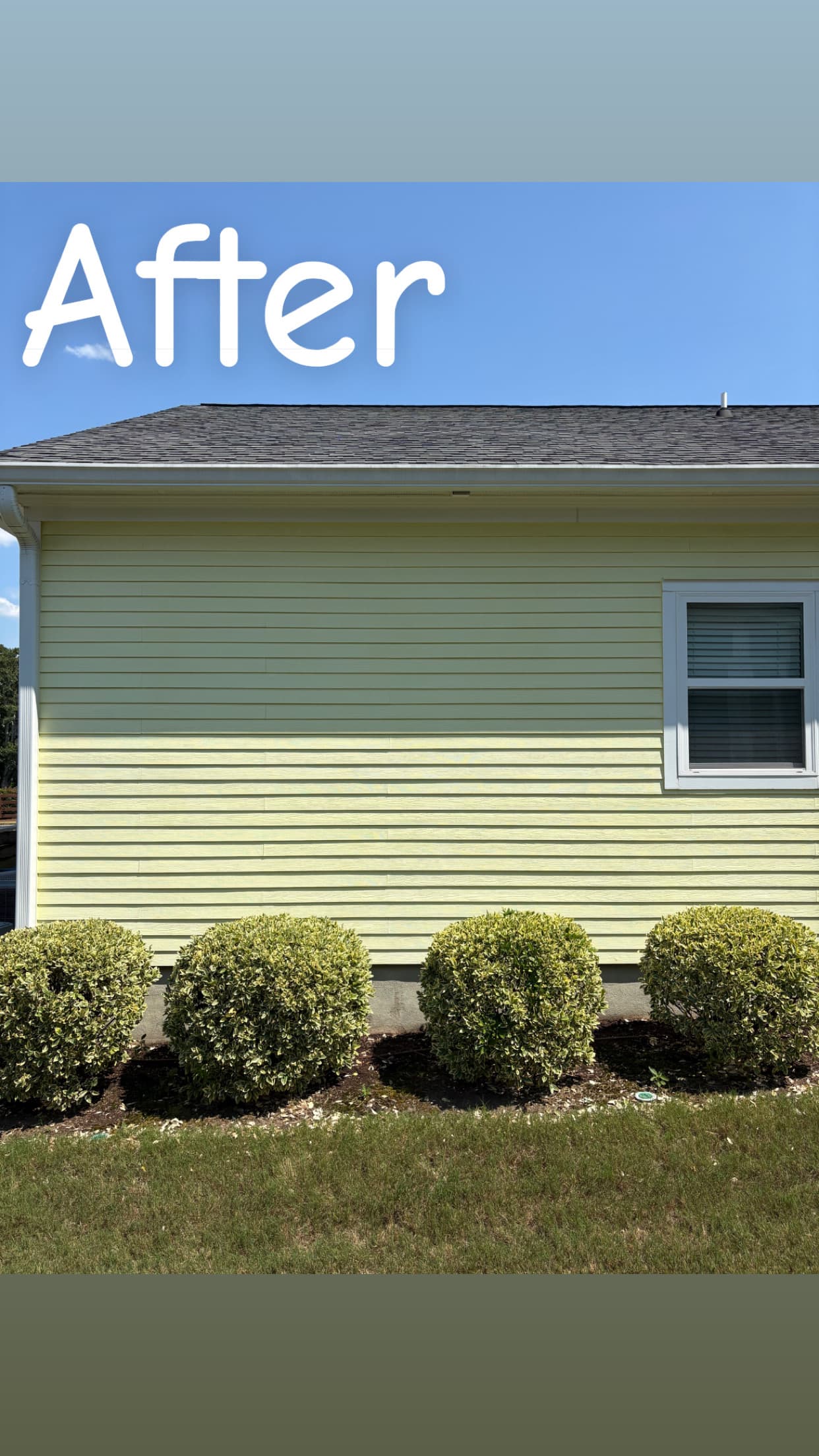 Yellow Siding (1-Story) — after